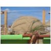 SandWorld030.html