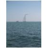 Segeltoern010.html