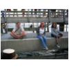 Segeltoern025.html